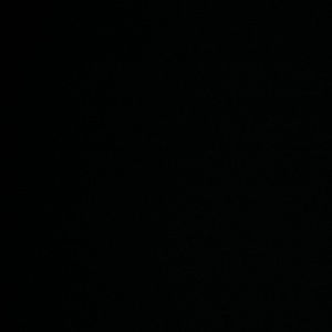 Meet your Posher, Tony